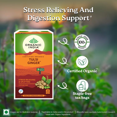 A TATA Product - Organic India Tulsi Ginger - 25 Tea Bags, Rich in Antioxidants, Supports Digestion, Stress Relieving, Helps Boost Metabolism, Caffeine-Free, Whole Herbs Certified Organic